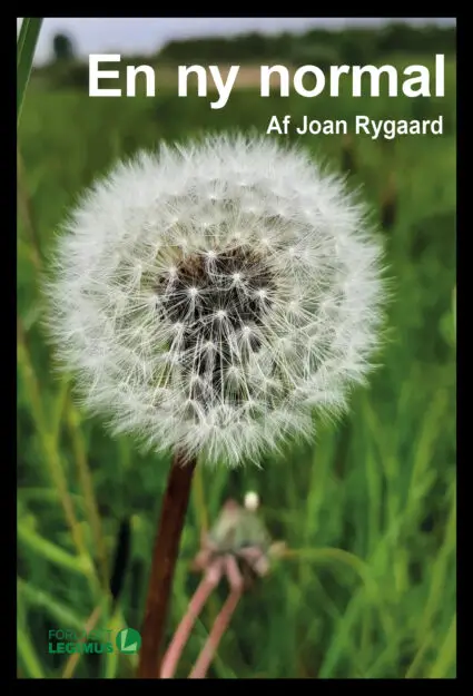 en periode på tre år i en families tilværelse, præget af sorg, kærlighed og vejen for at finde en ny balance efter forfatterens oplevelse med en mand, ramt af en hjernetumor.
